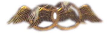 two interlinked winged circles