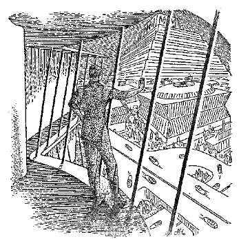 illustration from New Worlds #33 1955