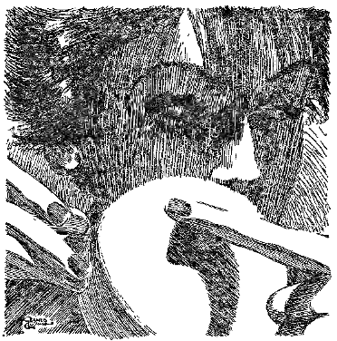 illustration from THE JAKANDI MODULI by Francis G Rayer