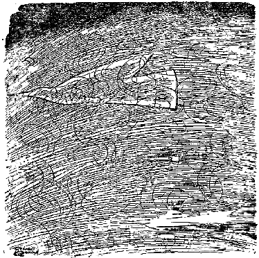 illustration from THE JAKANDI MODULI by Francis G Rayer