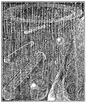 illustration from New Worlds issue 12