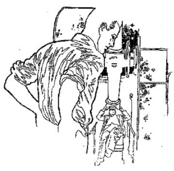 illustration from The Voices Beyond by Francis G Rayer